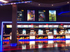 Baner powlekany PVC backlit 510 g/m2